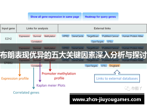布朗表现优异的五大关键因素深入分析与探讨