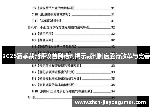 2025赛季裁判评议首例错判揭示裁判制度亟待改革与完善