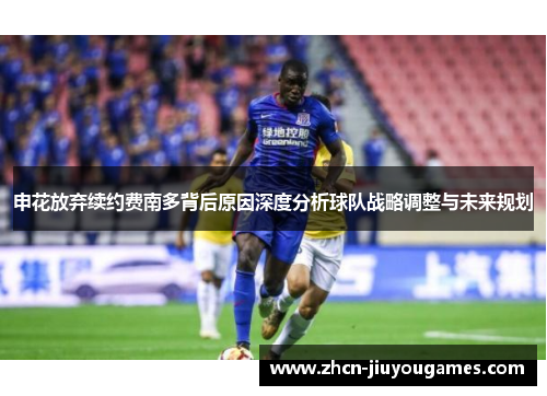 申花放弃续约费南多背后原因深度分析球队战略调整与未来规划