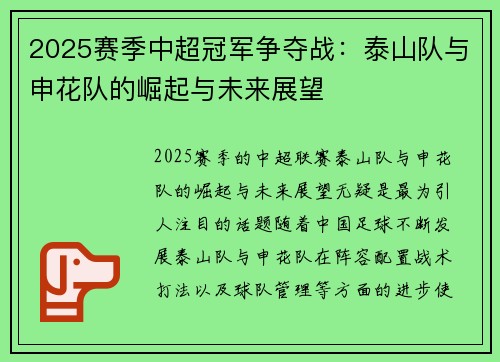 2025赛季中超冠军争夺战：泰山队与申花队的崛起与未来展望